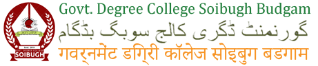 Govt. Degree College Soibugh