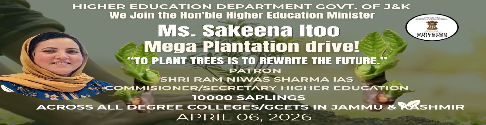 Plantation Drive